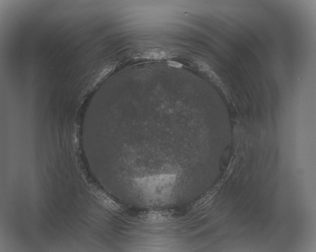 X0000062790305200512290229