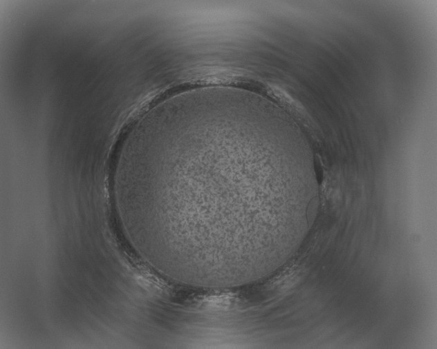 X0000062790306200512290229