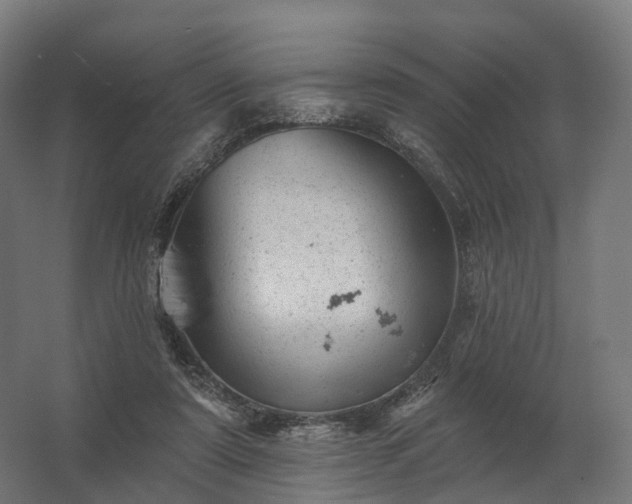 X0000062790307200512290229