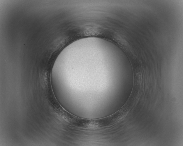 X0000062790308200512290229