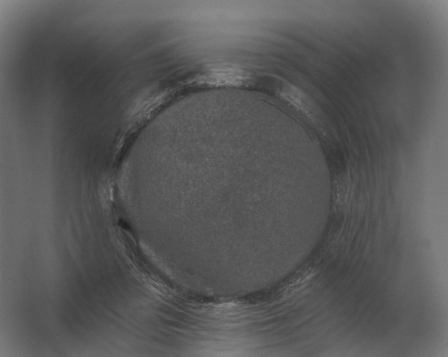 X0000062790309200512290229