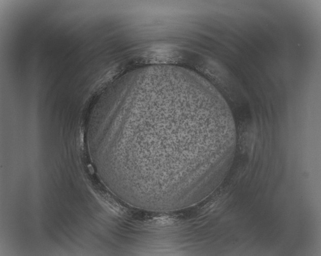 X0000062790310200512290229