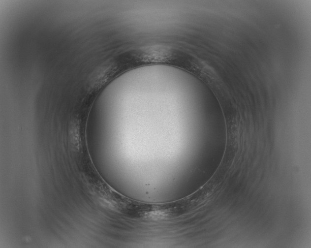 X0000062790312200512290229