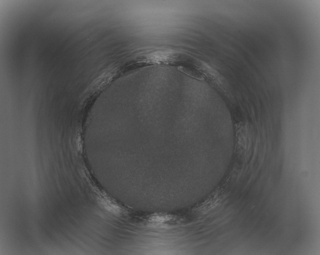 X0000062790313200512290229