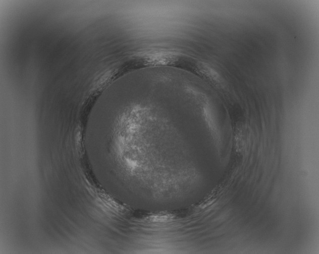 X0000062790314200512290229