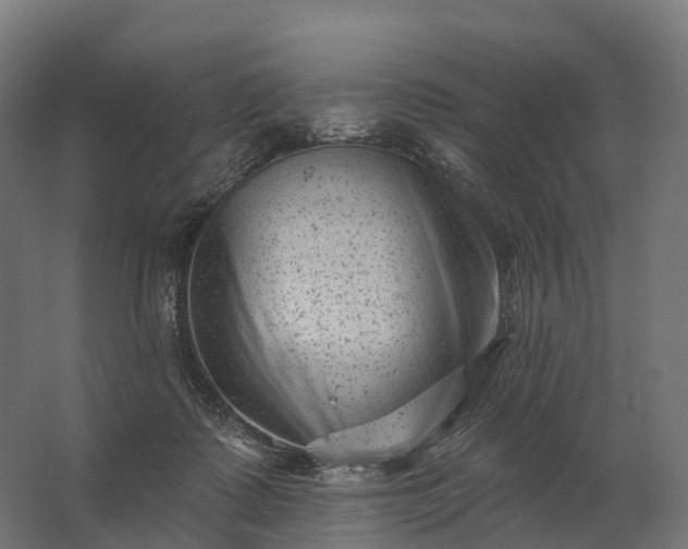 X0000062790315200512290229