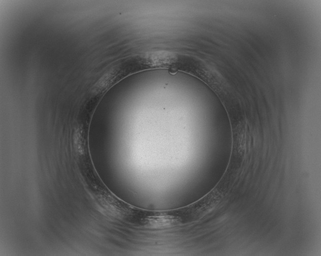 X0000062790316200512290229