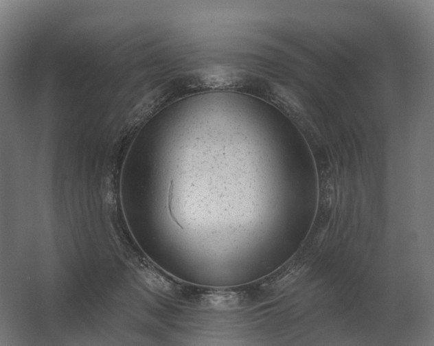 X0000062790317200512290229