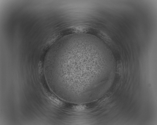 X0000062790318200512290229