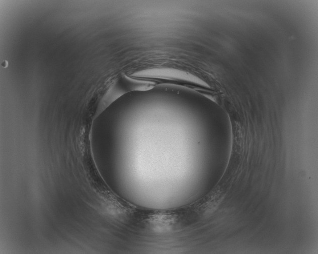 X0000062790319200512290229