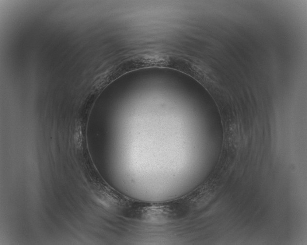 X0000062790320200512290229