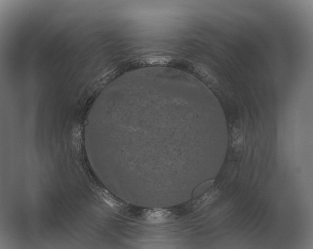 X0000062790321200512290229