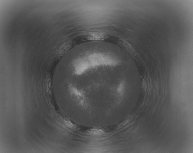 X0000062790322200512290229