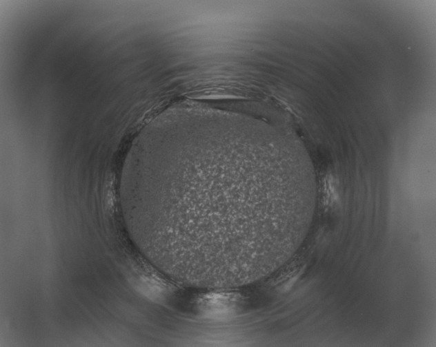 X0000062790323200512290229