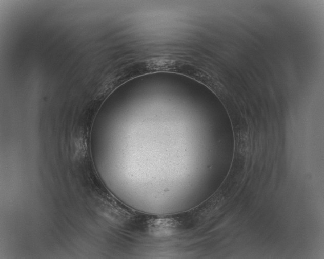 X0000062790324200512290229