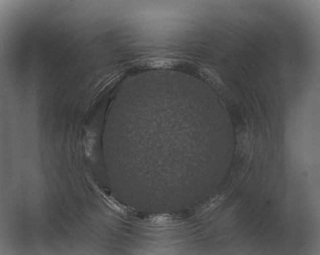 X0000062790325200512290229