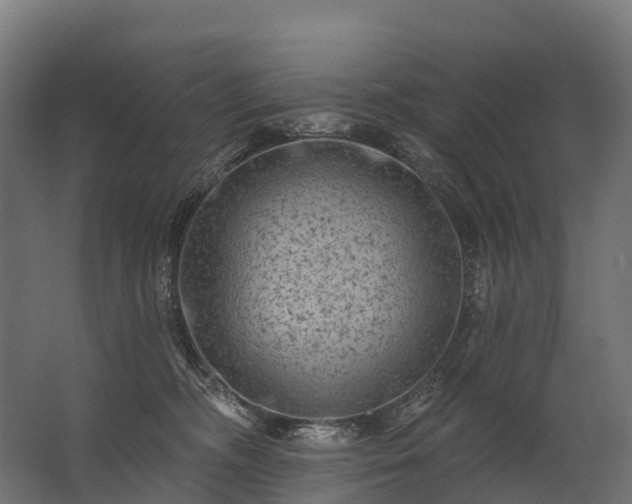 X0000062790326200512290229