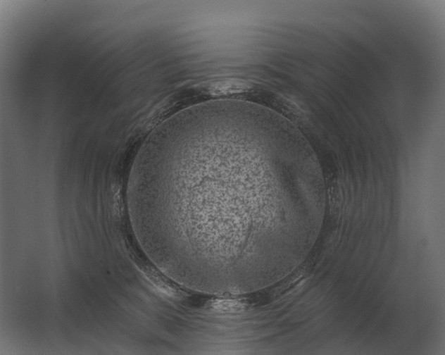 X0000062790327200512290229