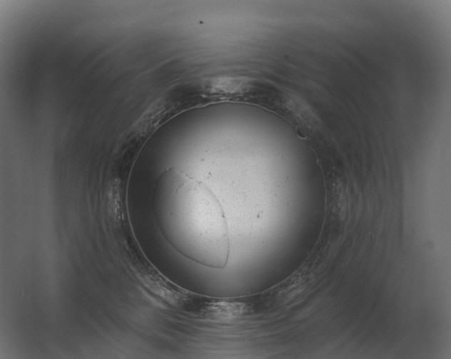 X0000062790328200512290229