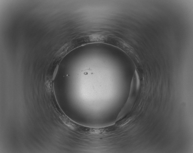 X0000062790329200512290229