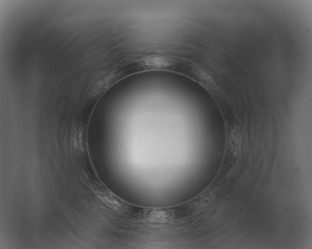 X0000062790330200512290229