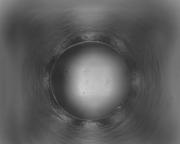 X0000062790332200512290229