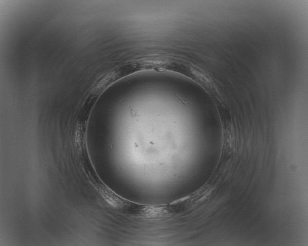 X0000062790333200512290229