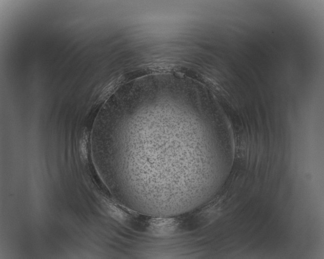 X0000062790334200512290229