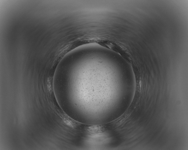 X0000062790335200512290229