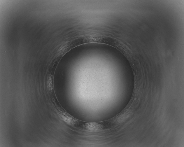 X0000062790336200512290229