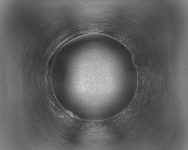 X0000062790338200512290228