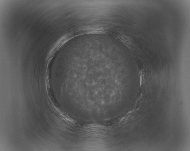 X0000062790339200512290228