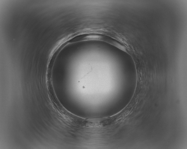 X0000062790340200512290228