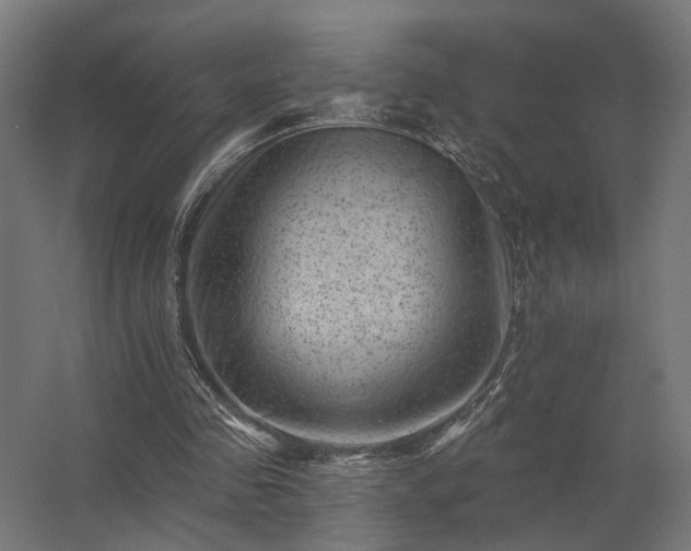 X0000062790341200512290228