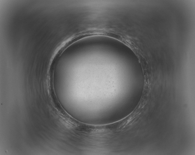 X0000062790342200512290228