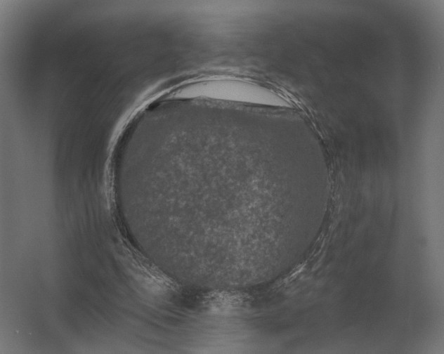 X0000062790343200512290228