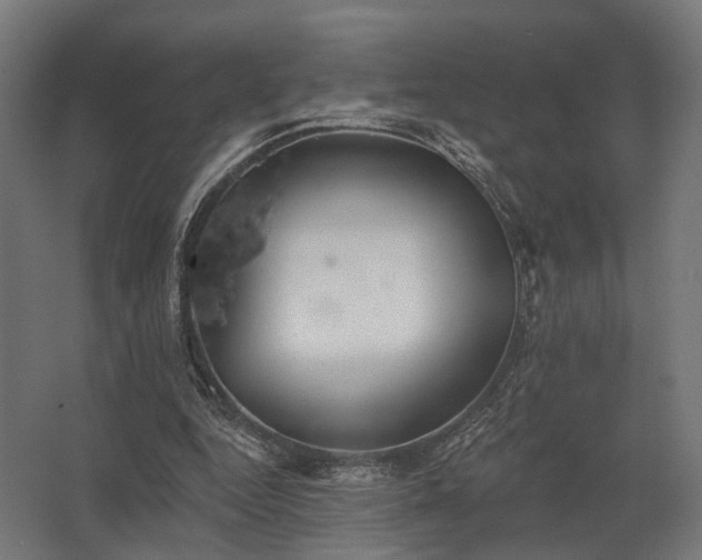 X0000062790344200512290228