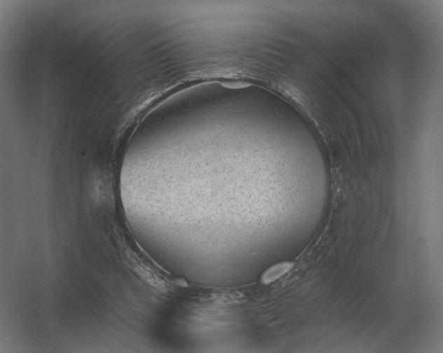 X0000062790345200512290228