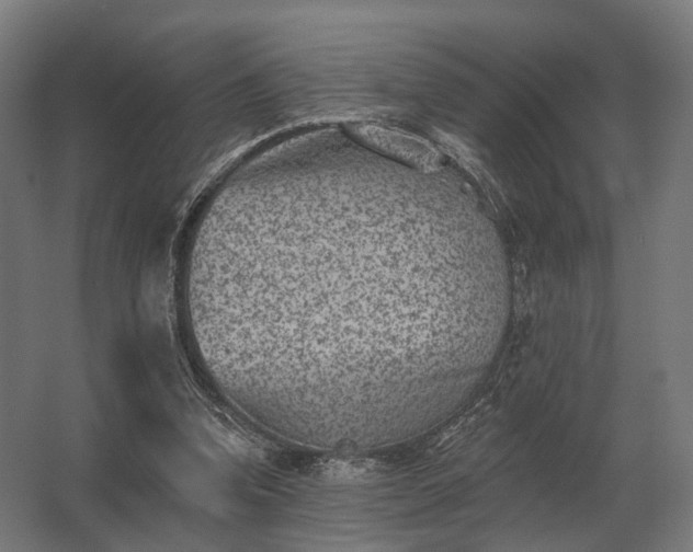 X0000062790346200512290228