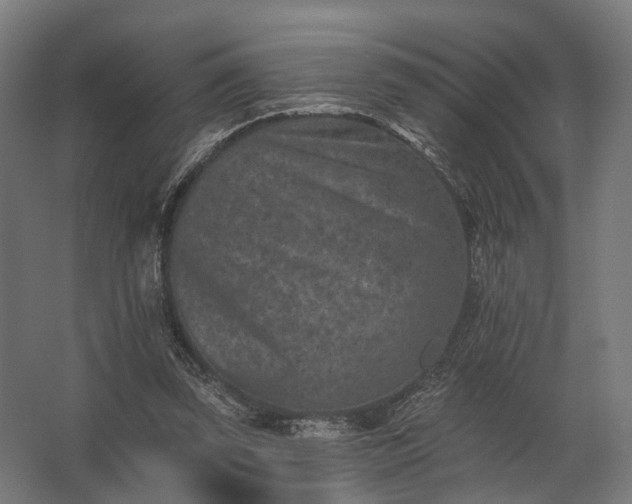 X0000062790347200512290228