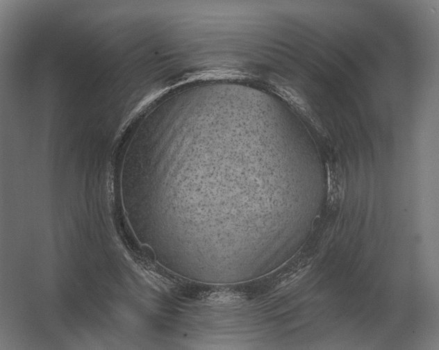 X0000062790348200512290228