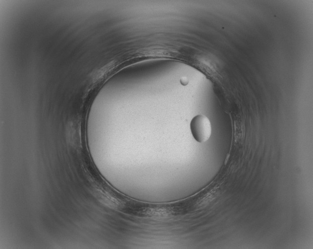 X0000062790349200512290228