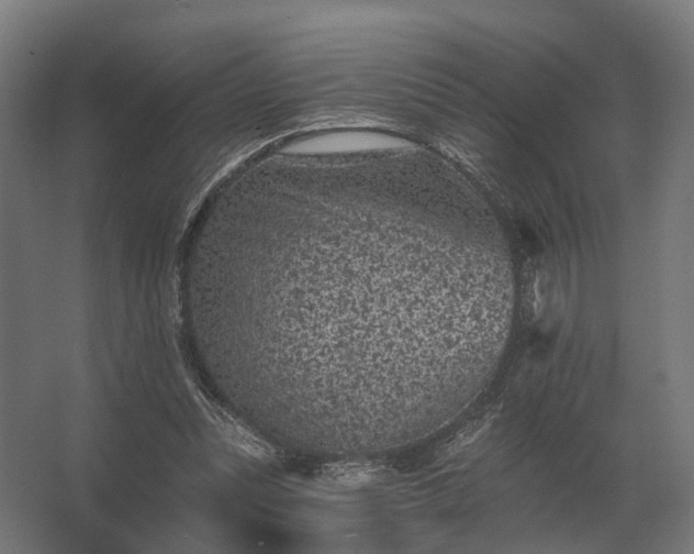 X0000062790351200512290228