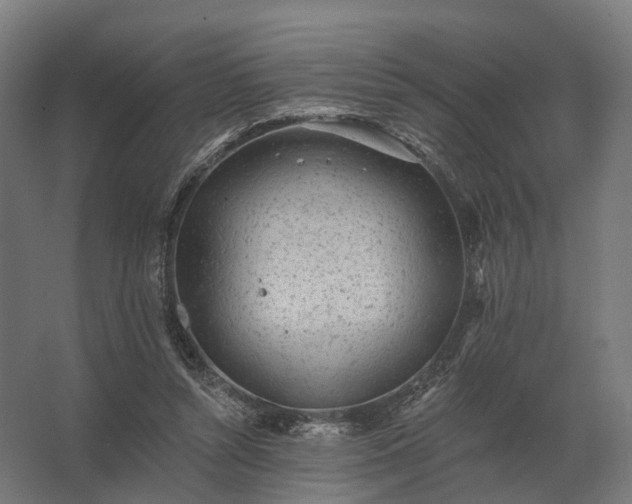 X0000062790352200512290228