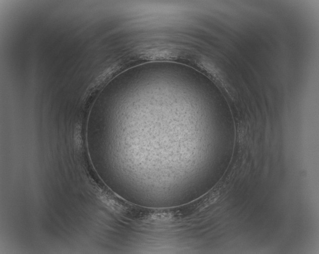 X0000062790353200512290228