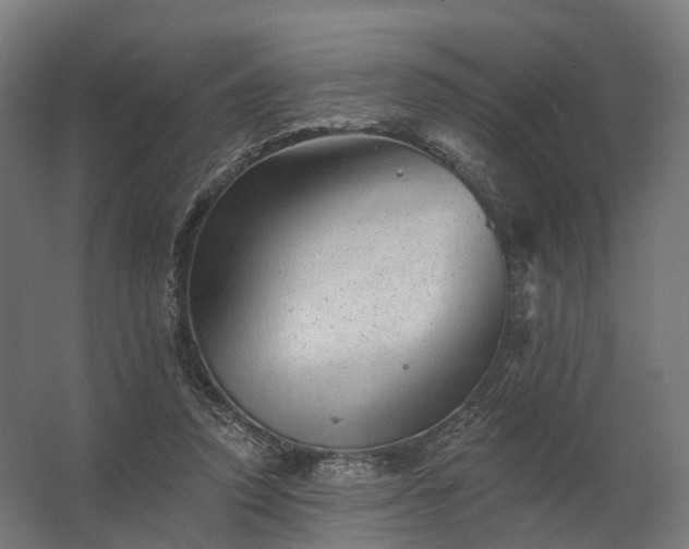 X0000062790354200512290228