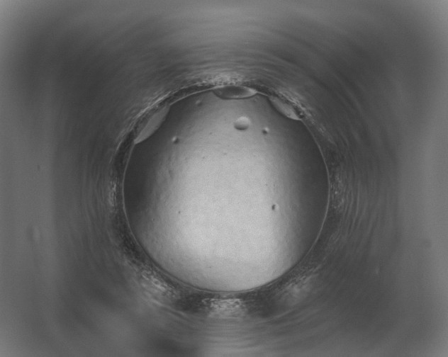 X0000062790355200512290228