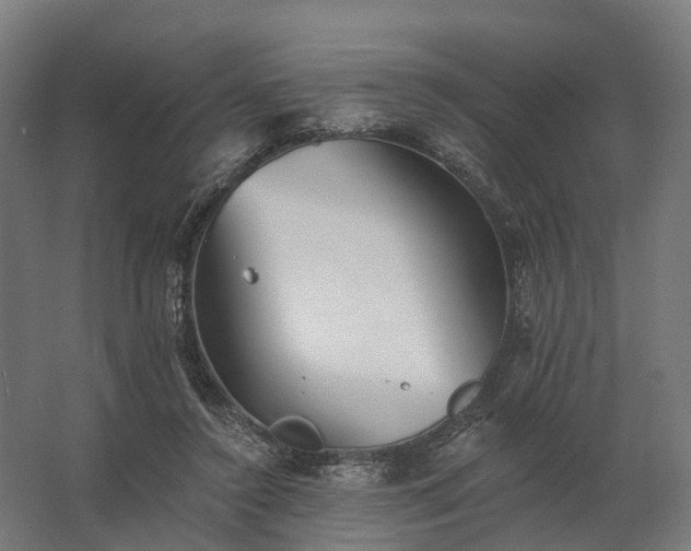 X0000062790356200512290228