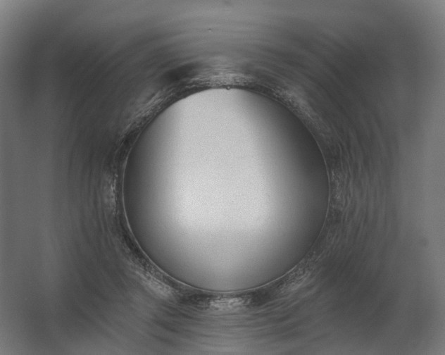 X0000062790357200512290228