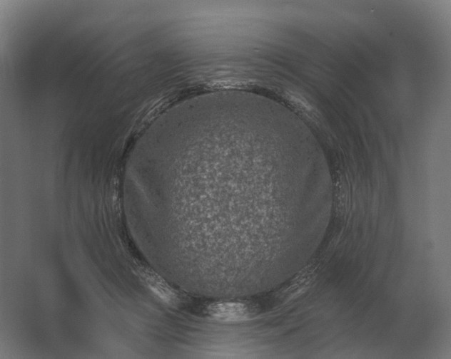 X0000062790361200512290228